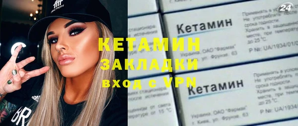гашик Алексин