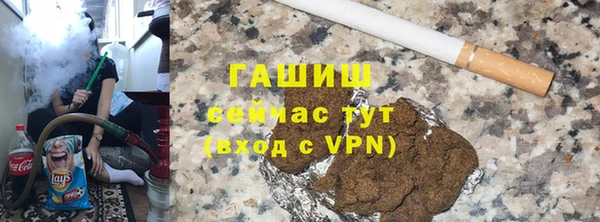 гашик Алексин