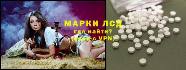гашик Алексин