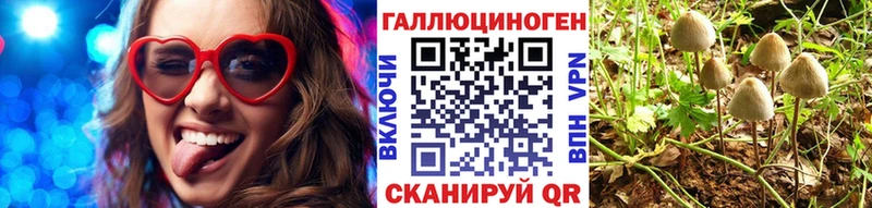 MEGA ссылки  Алексеевка  Галлюциногенные грибы Magic Shrooms 