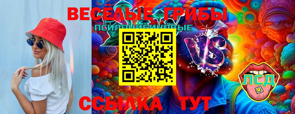 Алексеевка  Псилоцибиновые грибы мицелий  Вход с VPN 